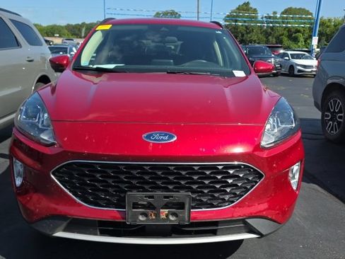 Used 2020 Ford Escape SEL AWD/4WD image 2