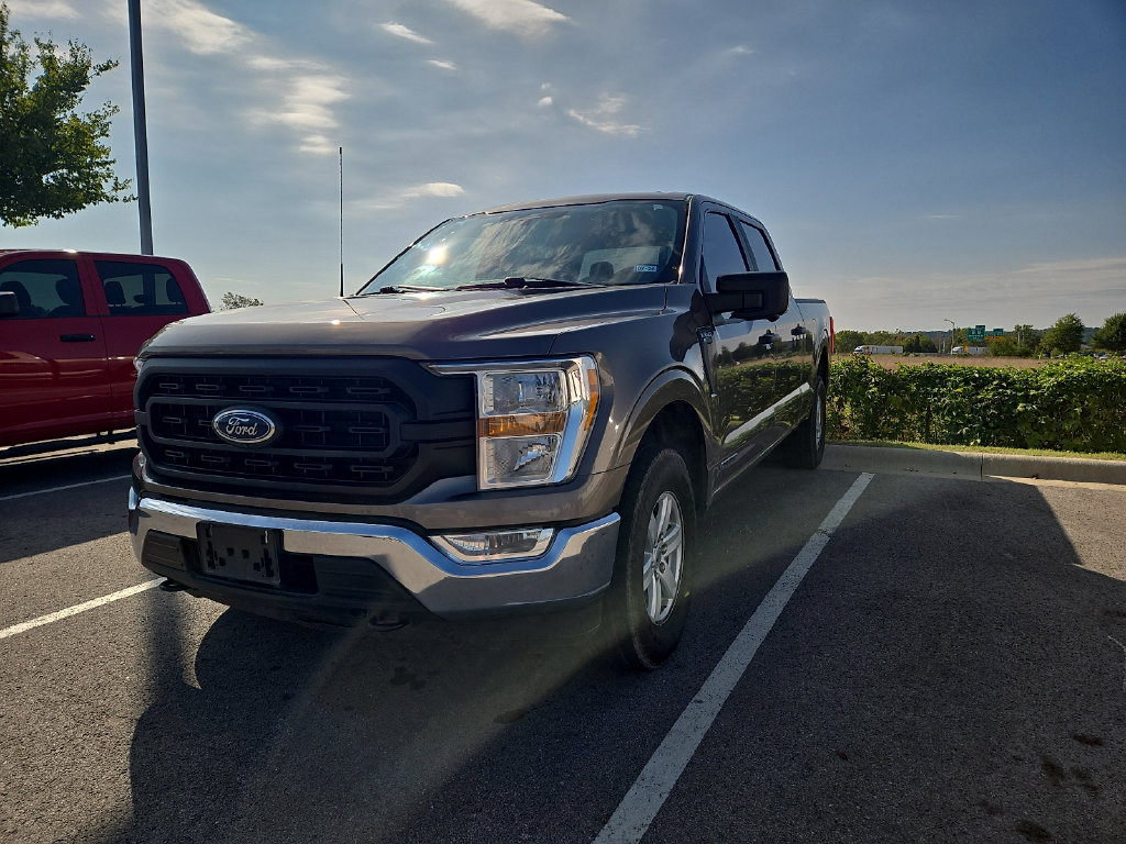 Used 2022 Ford F150 XL w/ Equipment Group 101A High AWD/4WD image 1