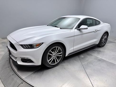 Used 2017 Ford Mustang Premium image 1