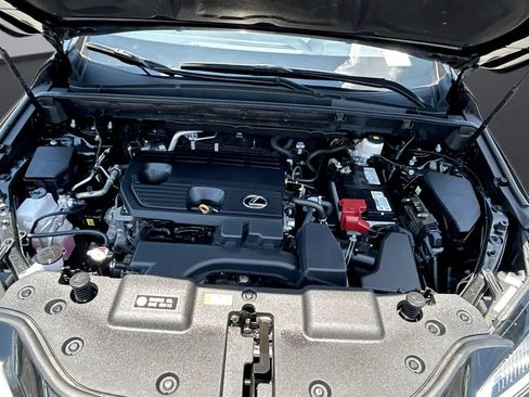 Used 2025 Lexus NX 250 FWD w/ Cold Area Package image 14