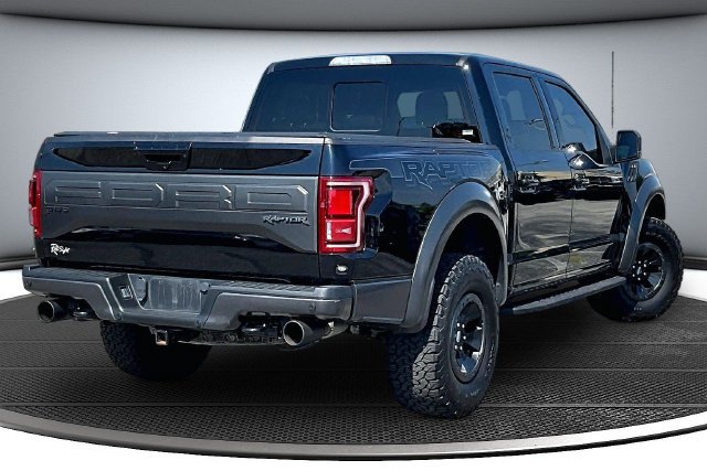 Used 2018 Ford F150 Raptor w/ Equipment Group 802A Luxury AWD/4WD image 6