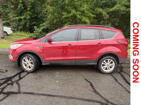 Used 2019 Ford Escape SEL AWD/4WD image 5