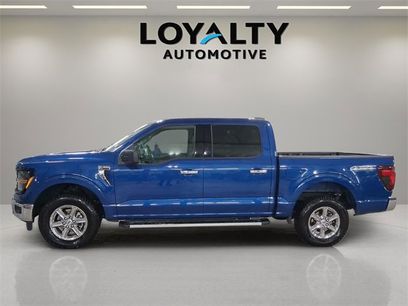 Used 2025 Ford F150 XLT w/ Equipment Group 301A Standard