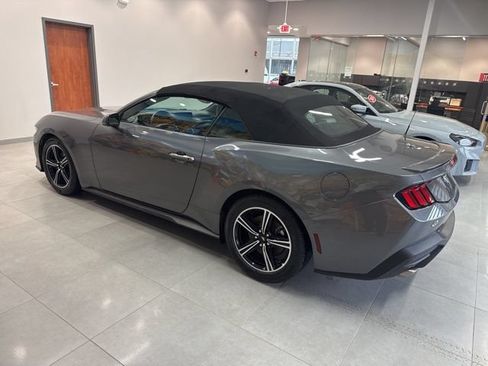 Certified 2025 Ford Mustang Premium RWD image 4