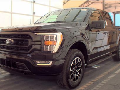 Used 2023 Ford F150 XLT w/ Equipment Group 302A High