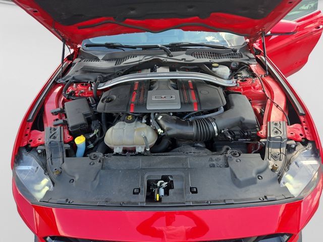 Used 2019 Ford Mustang GT Premium w/ GT Performance Package RWD image 32