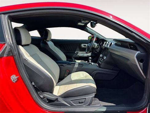 Used 2019 Ford Mustang GT Premium w/ Black Accent Package image 15