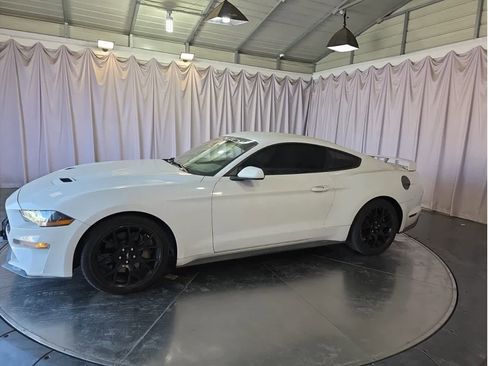 Used 2018 Ford Mustang Coupe w/ Ecoboost Performance Package image 4