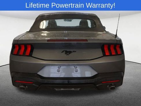 New 2026 Ford Mustang Premium w/ Mustang Nite Pony Package RWD image 11