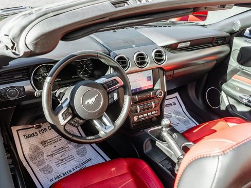 Used 2019 Ford Mustang Premium w/ Equipment Group 201A image 7