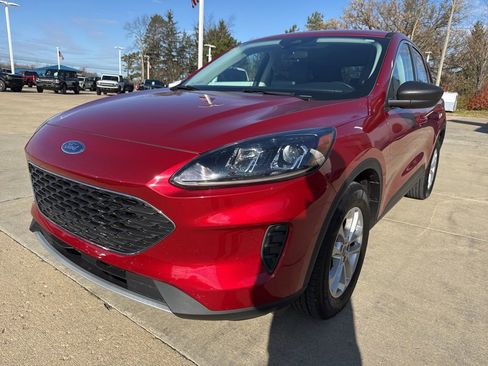 Used 2022 Ford Escape SE w/ Cold Weather Package image 3