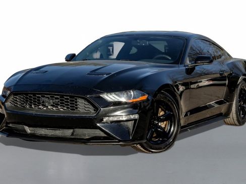 Used 2019 Ford Mustang Coupe image 4