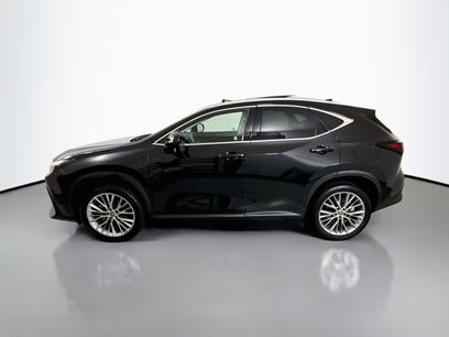 Certified 2024 Lexus NX 350 AWD w/ Cold Area Package
