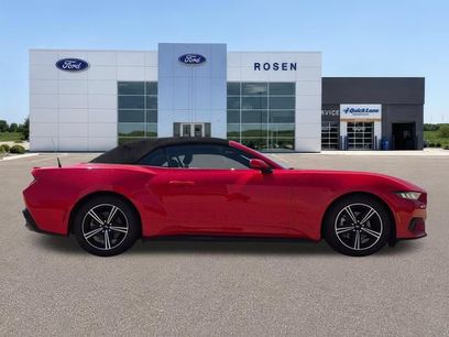 Certified 2024 Ford Mustang Premium