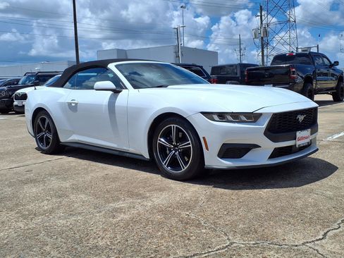 Used 2024 Ford Mustang Premium RWD image 2