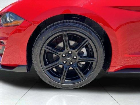 Used 2019 Ford Mustang Coupe w/ Equipment Group 101A RWD image 51