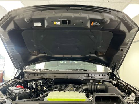 New 2025 Ford F150 Tremor w/ Equipment Group 402A High image 13