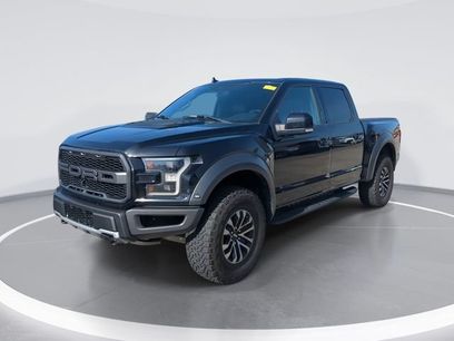 Used 2019 Ford F150 Raptor w/ Equipment Group 802A Luxury