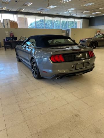 Used 2022 Ford Mustang Premium RWD image 6