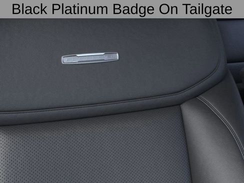 New 2025 Ford Expedition Platinum w/ Stealth Appearance Package image 17