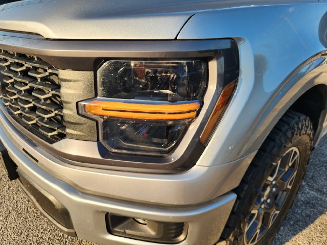 Used 2024 Ford F150 STX RWD image 6