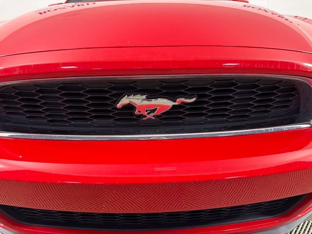 Used 2014 Ford Mustang Premium RWD image 5