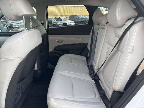 New 2026 Hyundai Tucson Limited image 13