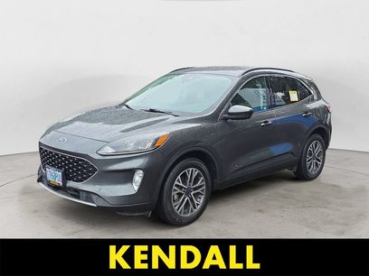 Used 2020 Ford Escape SEL