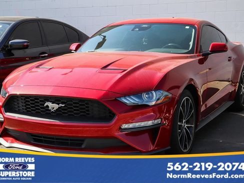 Used 2022 Ford Mustang Coupe w/ Equipment Group 101A RWD image 1