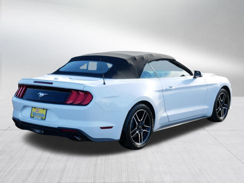 Used 2023 Ford Mustang Premium image 7
