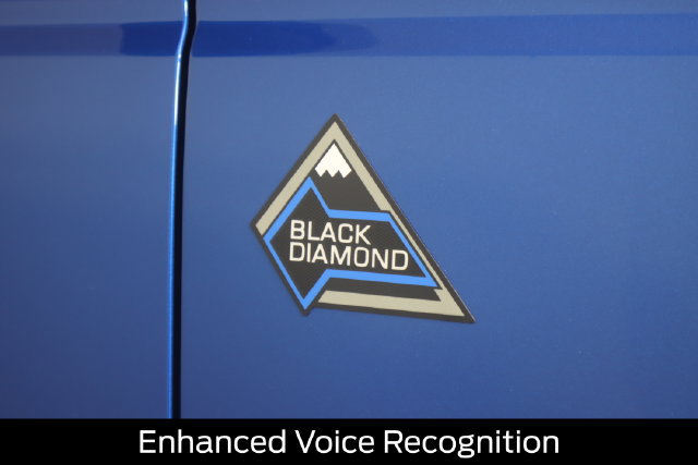 Certified 2022 Ford Bronco Black Diamond AWD/4WD image 16