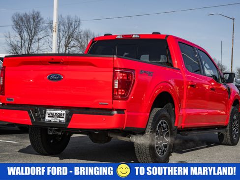 Certified 2023 Ford F150 XLT w/ Equipment Group 302A High image 4