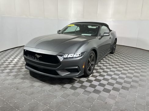 Used 2025 Ford Mustang Premium RWD image 4