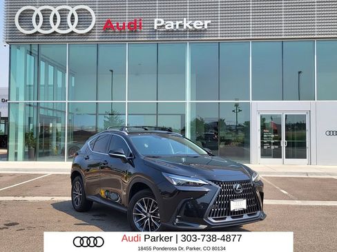 Used 2024 Lexus NX 350h AWD image 1