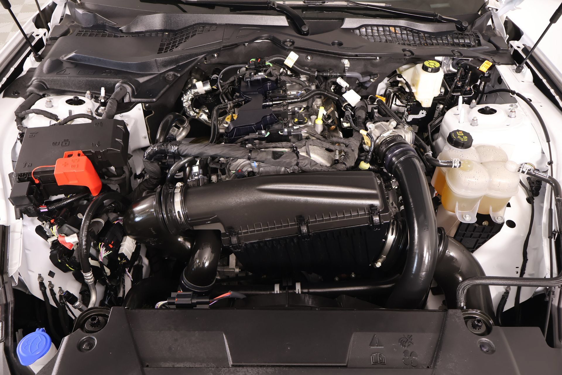 Used 2026 Ford Mustang Premium RWD image 18