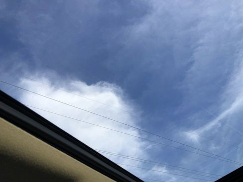 Used 2021 Toyota 4Runner Limited image 24