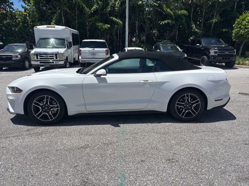 Used 2023 Ford Mustang Premium w/ Equipment Group 201A RWD image 4