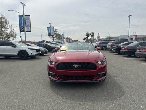 Used 2015 Ford Mustang Premium image 1