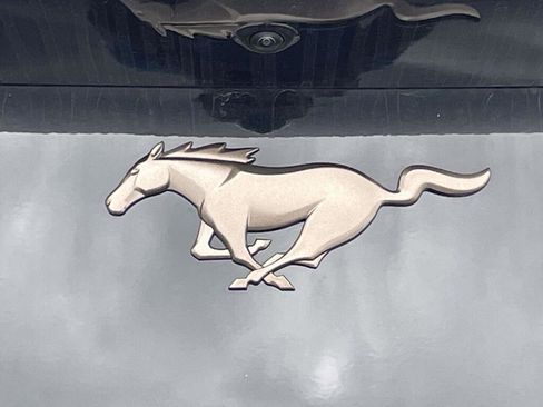 New 2026 Ford Mustang Coupe w/ Bronze Appearance Package image 14