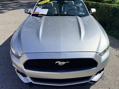 Used 2017 Ford Mustang Premium RWD image 8