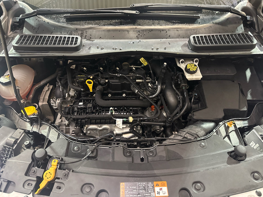 Used 2019 Ford Escape SEL FWD image 31