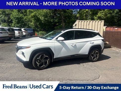 Used 2023 Hyundai Tucson Limited AWD/4WD image 6