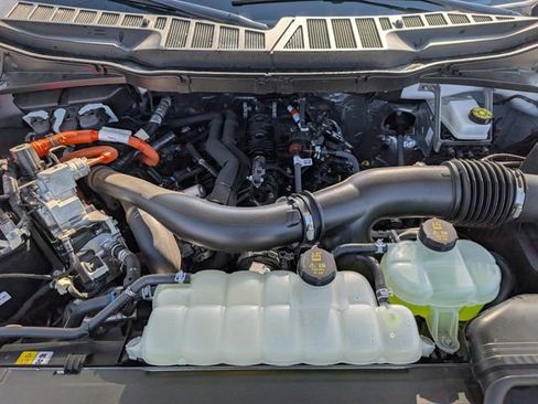 New 2025 Ford F150 XLT w/ Equipment Group 302A MID image 29