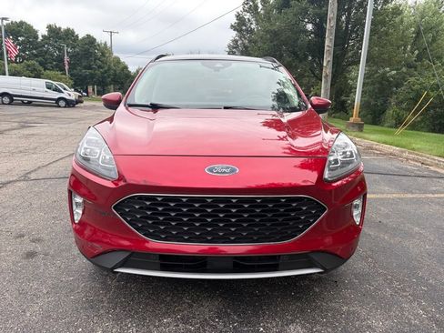 Used 2020 Ford Escape Titanium AWD/4WD image 5
