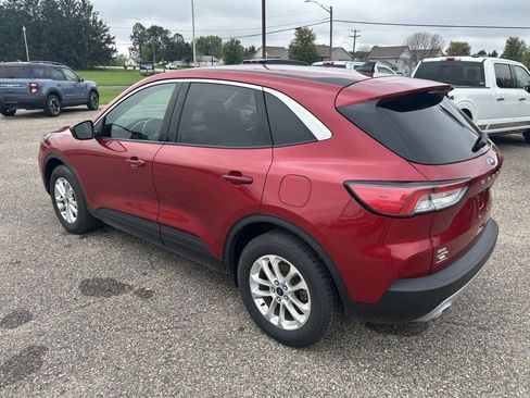 Used 2020 Ford Escape SE image 5