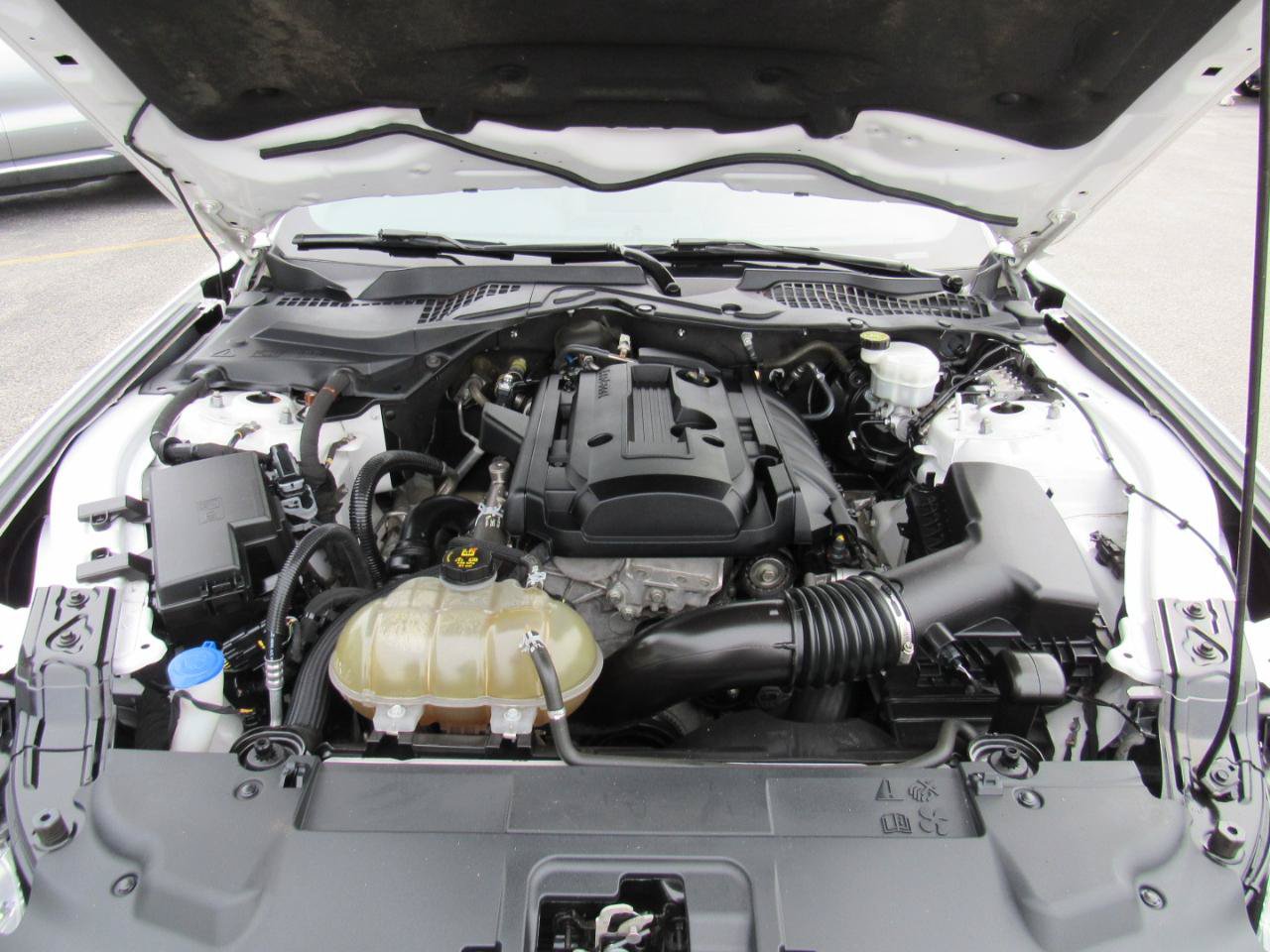 Used 2020 Ford Mustang Coupe RWD image 31
