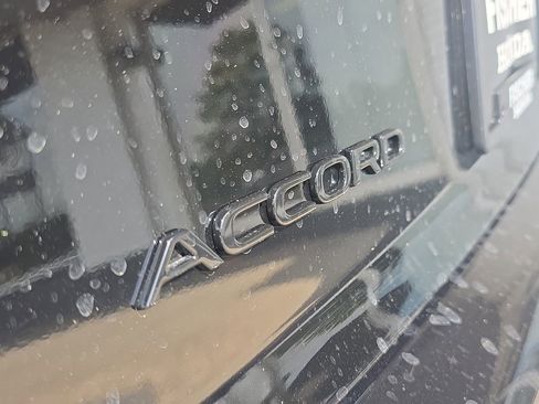 New 2026 Honda Accord Sport image 6