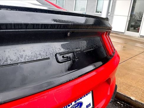 Used 2019 Ford Mustang GT w/ Equipment Group 301A image 7