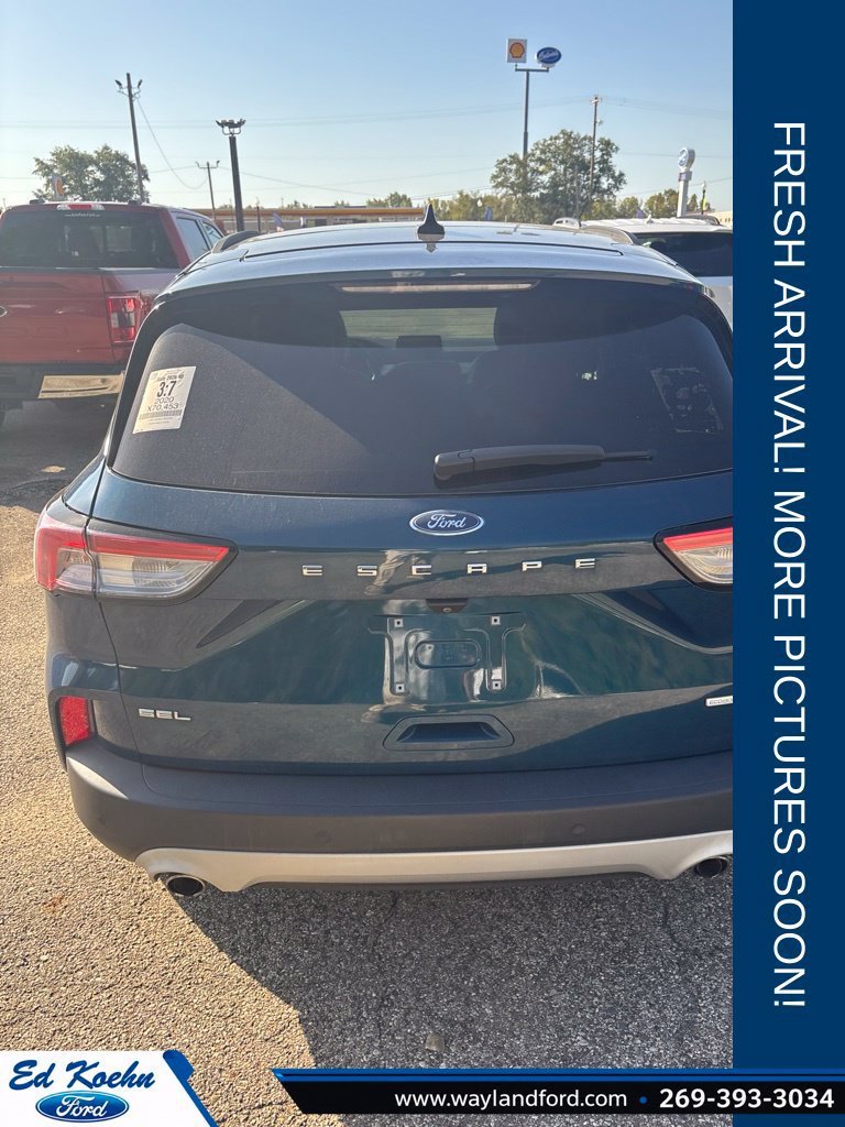 Used 2020 Ford Escape SEL FWD image 4