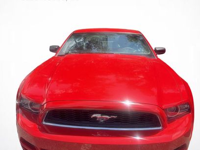 Used 2014 Ford Mustang Coupe w/ Equipment Group 102A